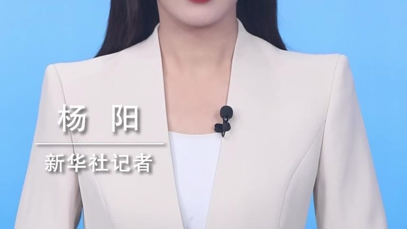 制造业数字化咨询公司收费标准揭秘：如何合理选择服务？**